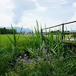 Weiherblick