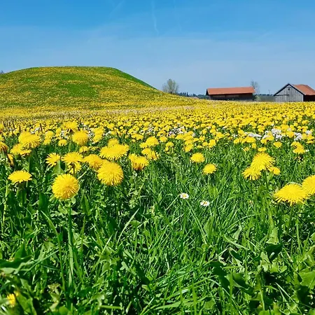 Weiherblick *